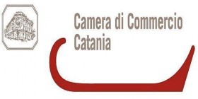 Camera di Commercio di Catania - STUDIO TORRISI